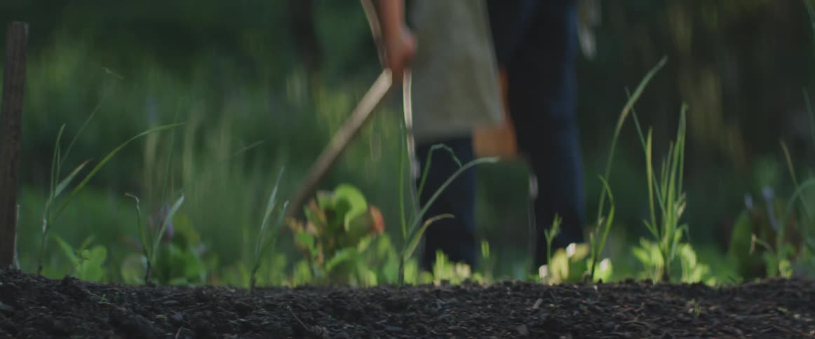 A man rakes in his garden