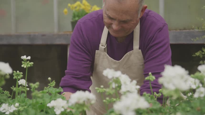 A man works in the garden