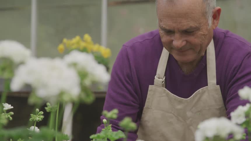 Man gardening flowers
