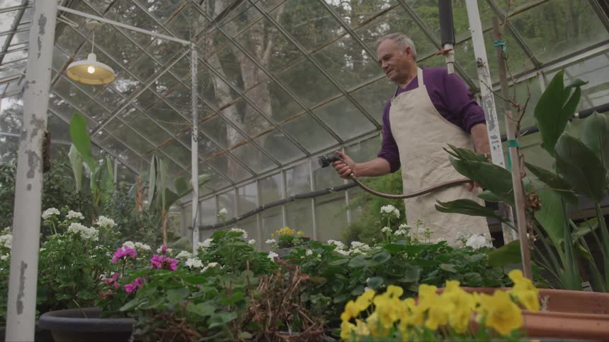 Male watering plants