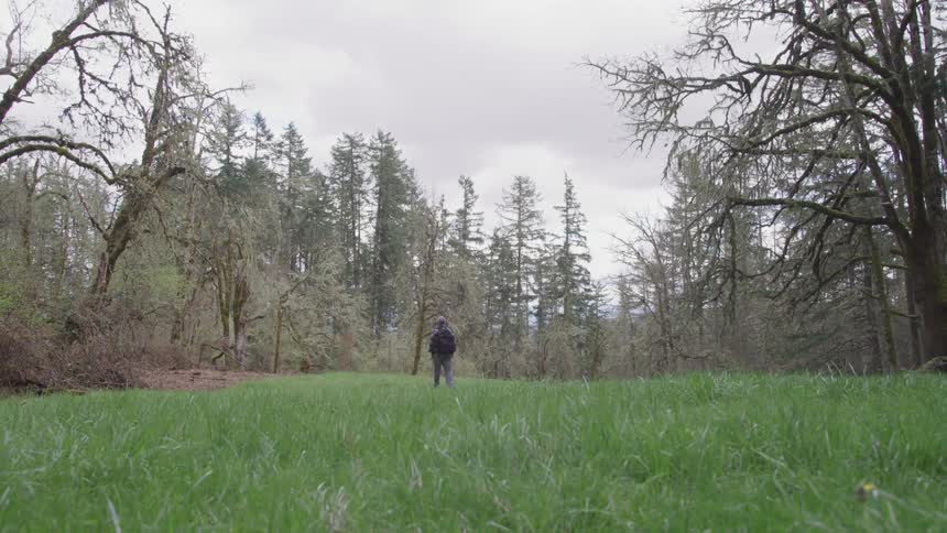 Someone with black jacket walking through oak forest