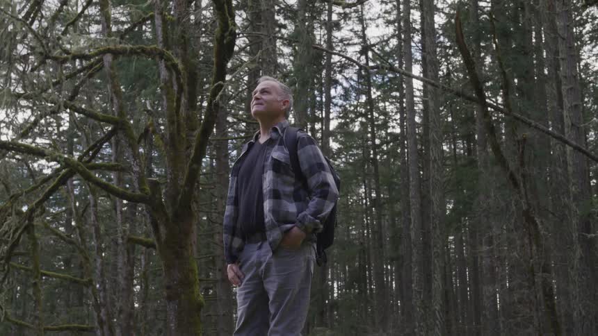 A man hiking in the forest stops to take in his surroundings