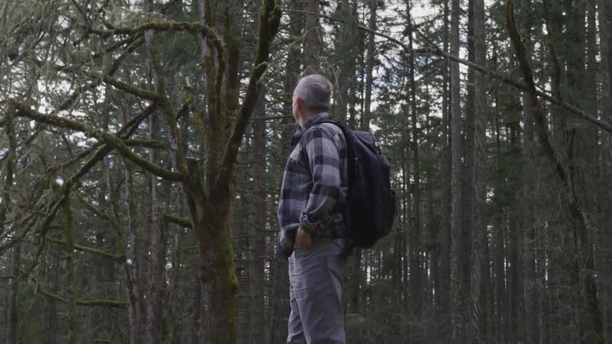 A hiker looks up at the tall trees surrounding him in the forest