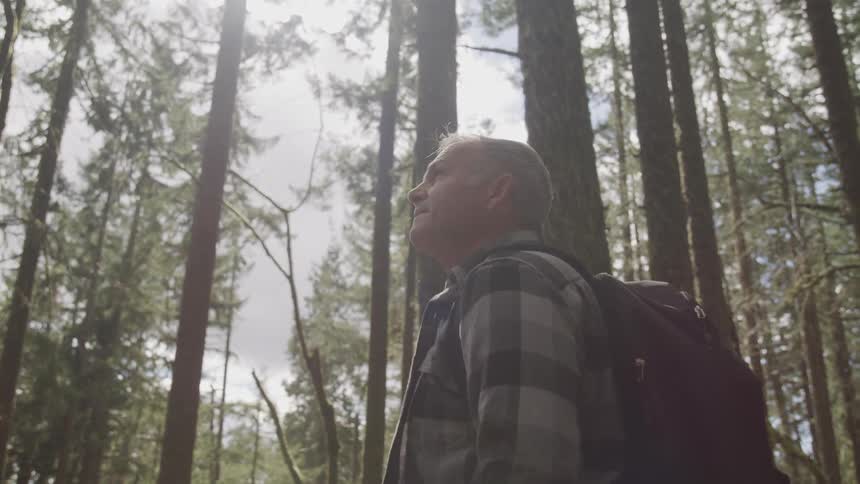 A man is looking around while hiking in a forest