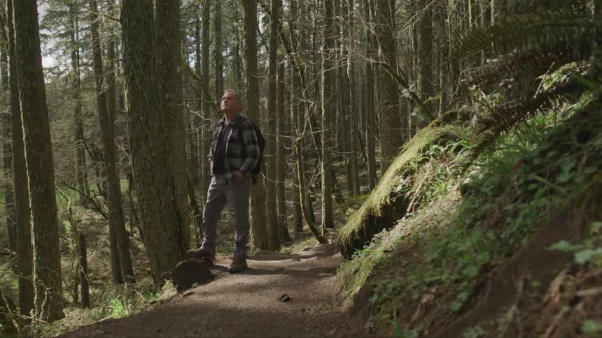 Man stands with hands in pockets on the path in the forest during daylight