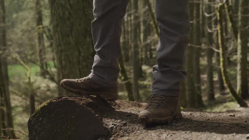 A person standing on a road in a forest during the day