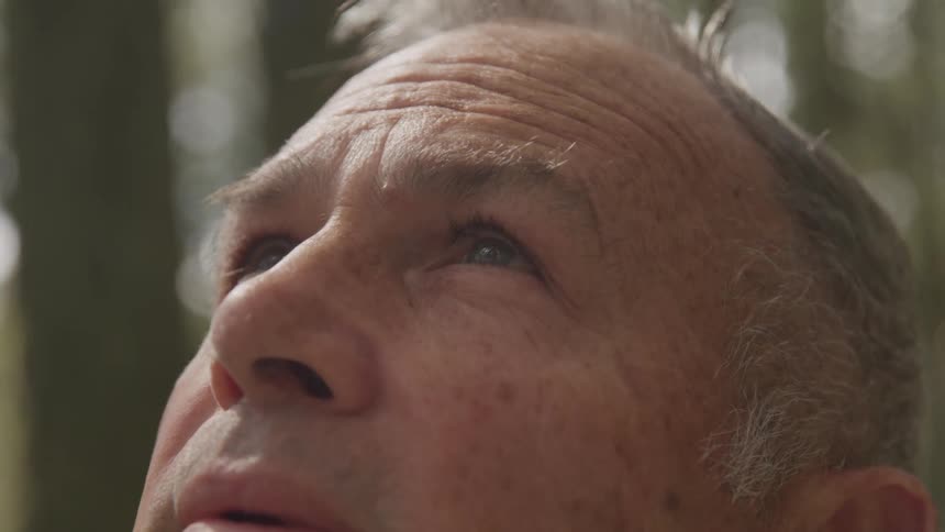 Elderly stare into the sky