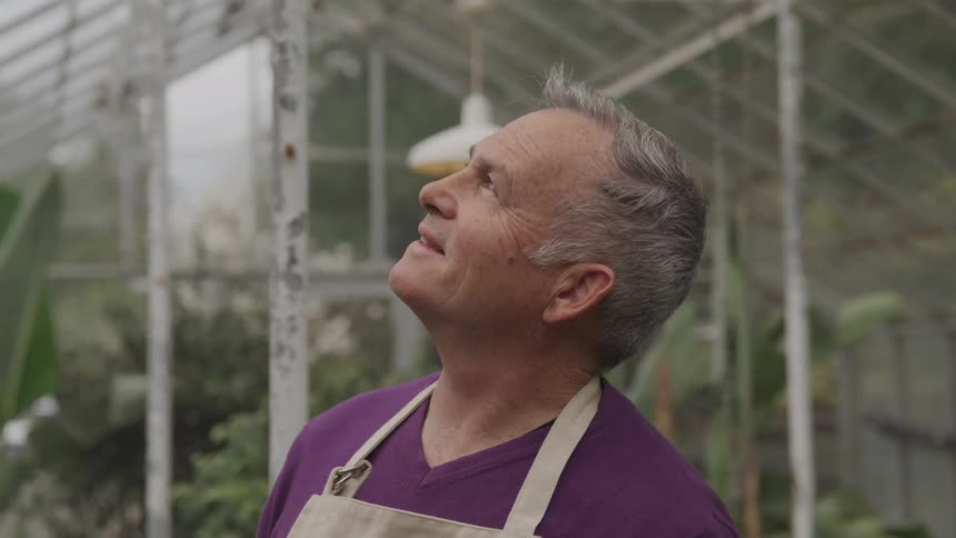 Man looking up in a green house