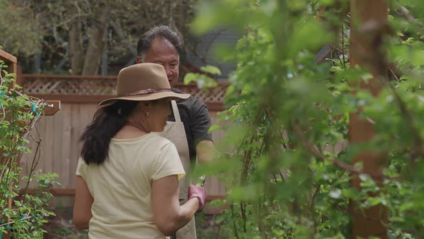 A gardener give instruction to a woman to cut part of a plant