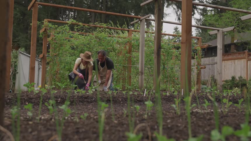 A couple digging in the dirt in a bountiful garden on a gloomy day