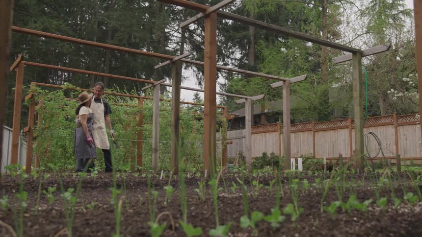 Two people are in a garden together