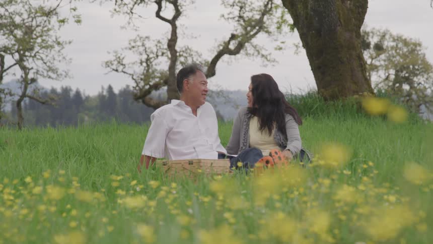 Asian woman and man sit on the grass under a tree during daylight