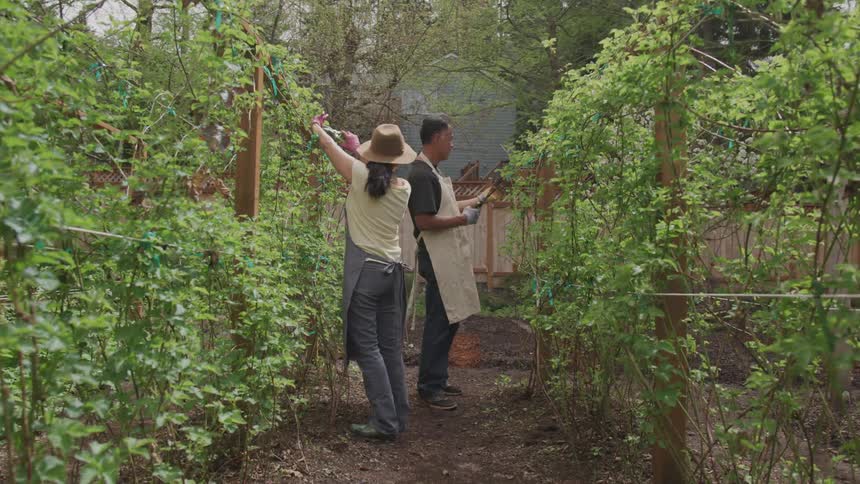 Two people work on their gardens