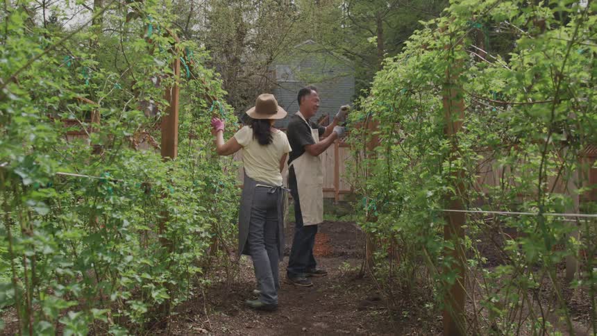 Man and woman are in a farm area