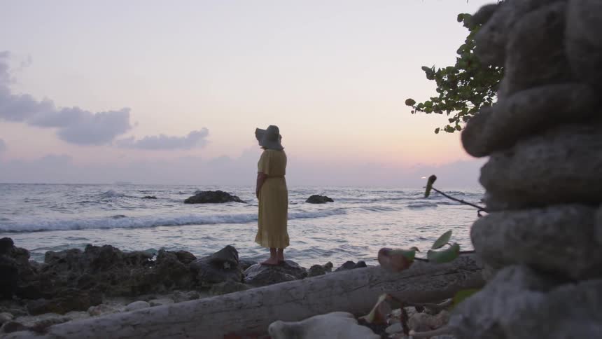 A woman is standing outdoors looking at the ocean