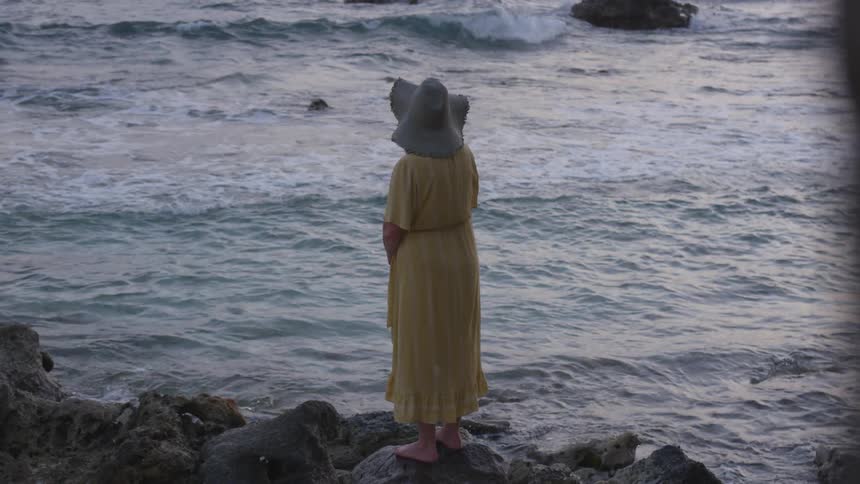A woman is standing on rocks looking at the ocean