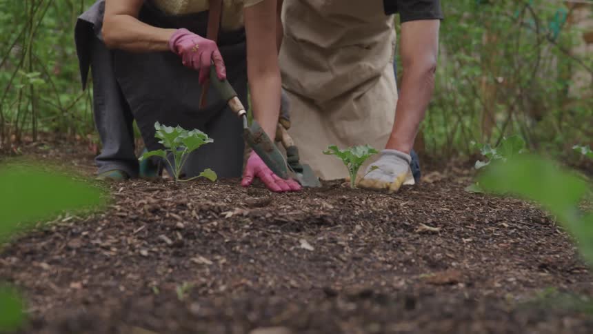 Male and female gardening