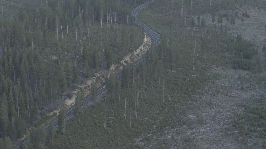 A car drives down a road through trees