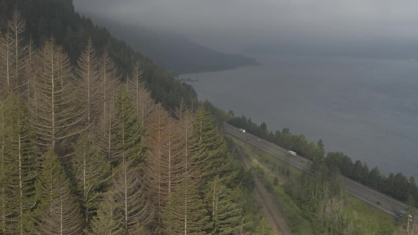Cars drive along a road next to the ocean