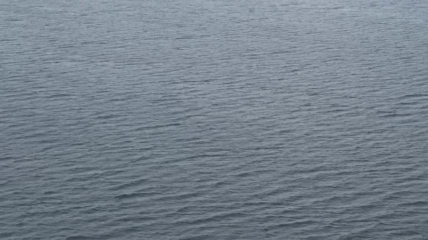 Waves are moving in the ocean