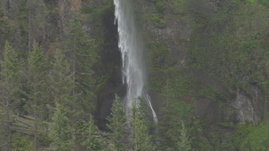 A beautiful waterfall in the middle of the forest