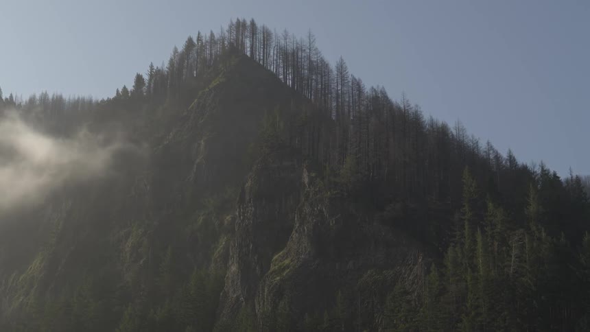 A tree covered mountain with fog