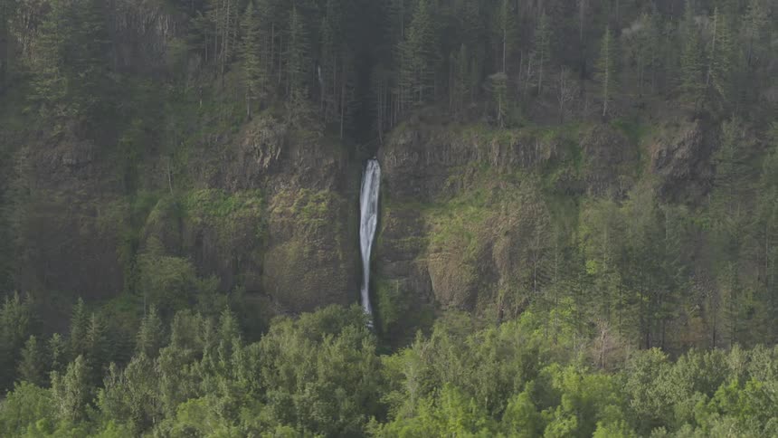 A narrow waterfall rests in the middle of a lush forest