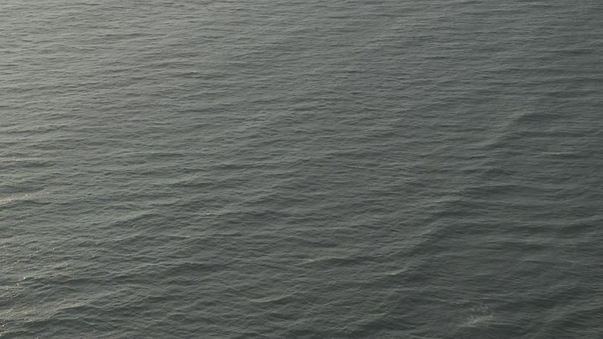 Waves are moving in the ocean
