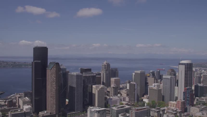 Skyline of the city with skyscrapers and tall buildings next to the sea during daylight