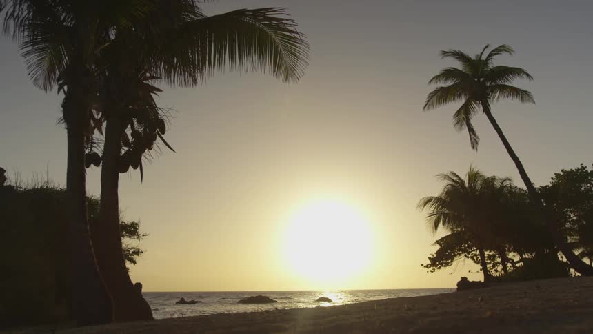 Sun setting down over the ocean on a beach with palm trees