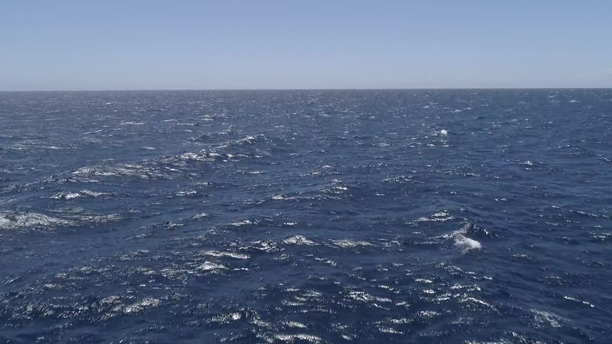 Waves in the ocean