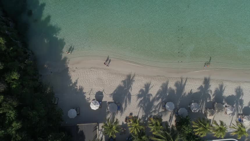 People walking on a beach