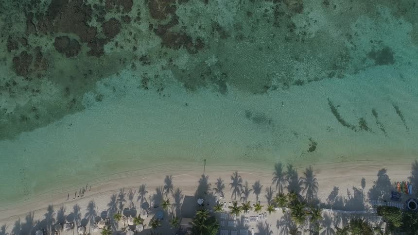 People are walking next to the ocean