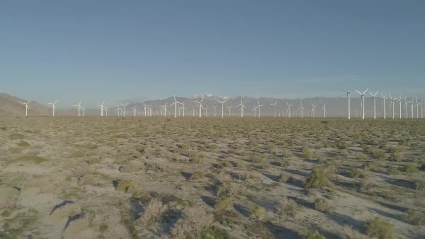 A line of wind turbines stand tall in desert brush under a blue sky