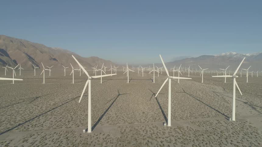 Windmills in a field