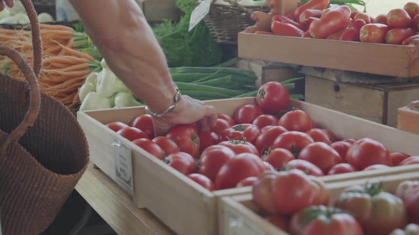 A woman picks up a tomato and puts it in her basket