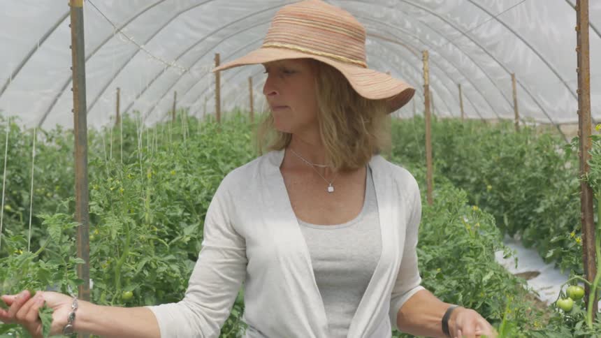 A woman walks through a botanical gardens and picks some flowers on her way