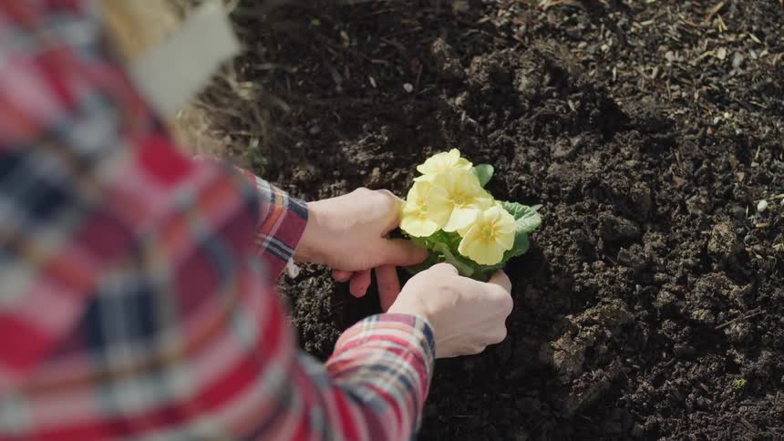 Girl picking flower