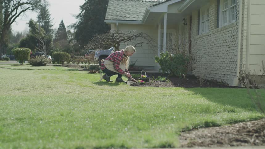 Woman wearing an apron kneels down and picks up a gardening shovel to start digging in the flower bed in front of the house