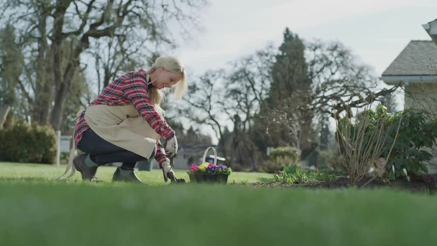 A woman plants flowers in the front yard of a home