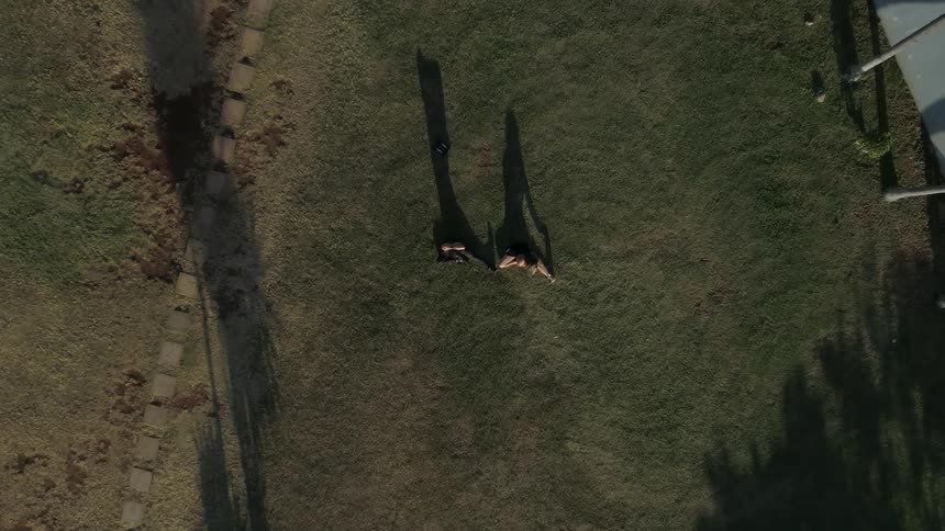 Two women sit on the ground in the middle of a grass yard while performing leg stretches