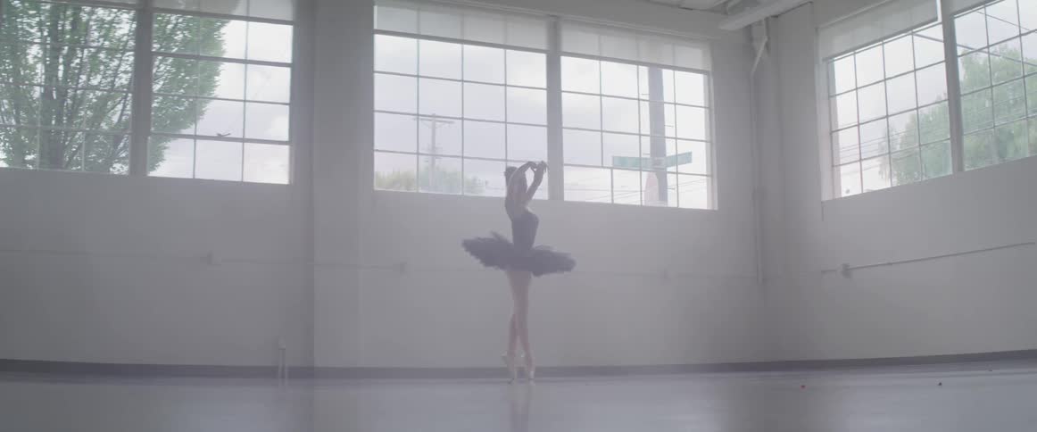 A ballerina in a tutu dances en pointe in a dance studio