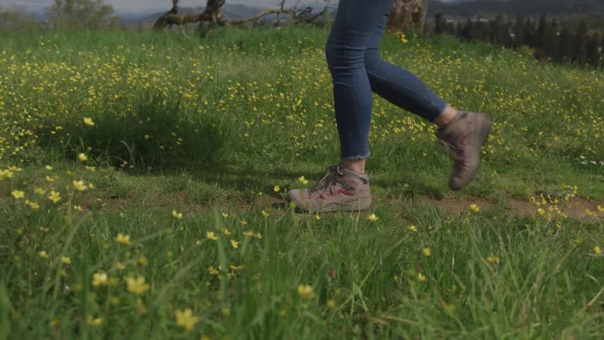 A woman walks along a dirt path in a field