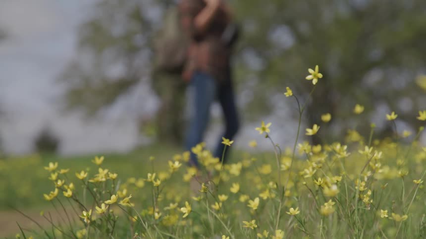 Yellow flowers and grass with a person standing in the background