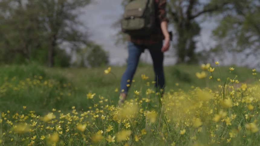 A hiker walks down a trail in a field of wildflowers