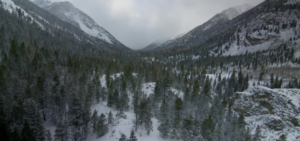 A mountain range that is lined with tall pine trees is coated in snow on an overcast day