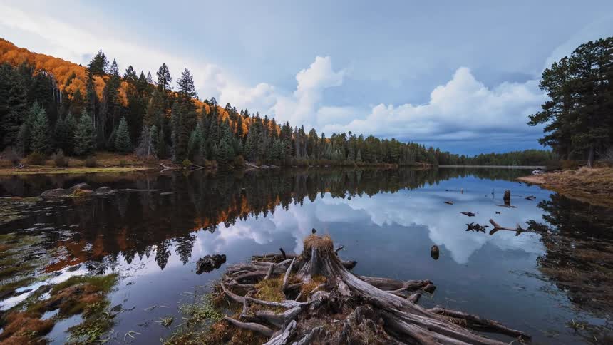 Clouds move over a scenic river that cuts through a forest
