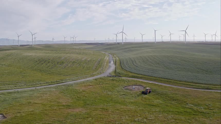 Windmill farm in fields in the afternoon