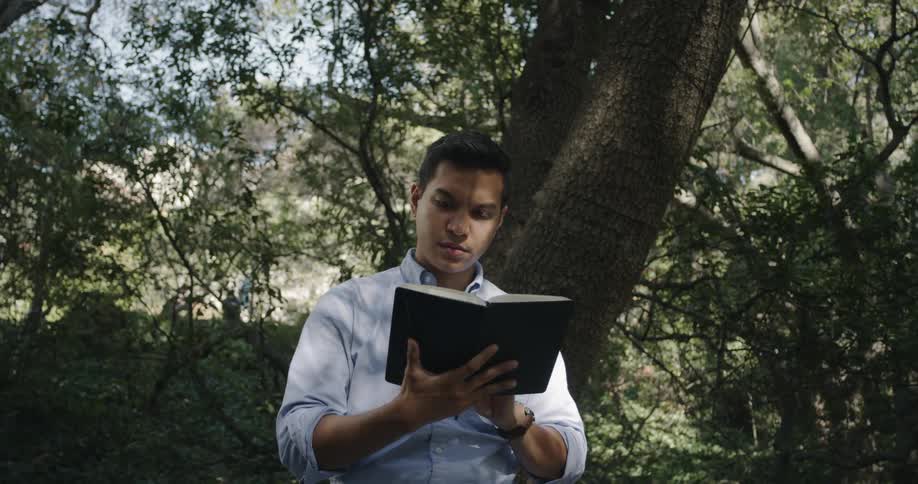 Man reading books under the tree shadow