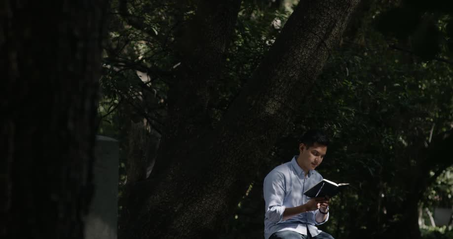 Man reads a book outdoors as he leans against a tree